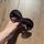 item listed by meghollyxxx