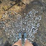 bella_abarca's profile picture