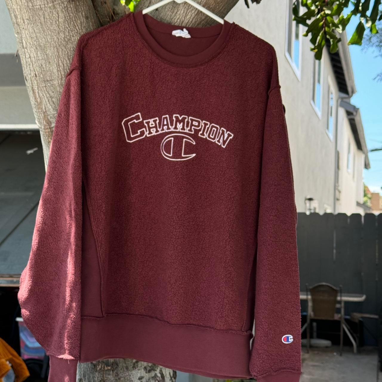 Champion inside out hoodie online