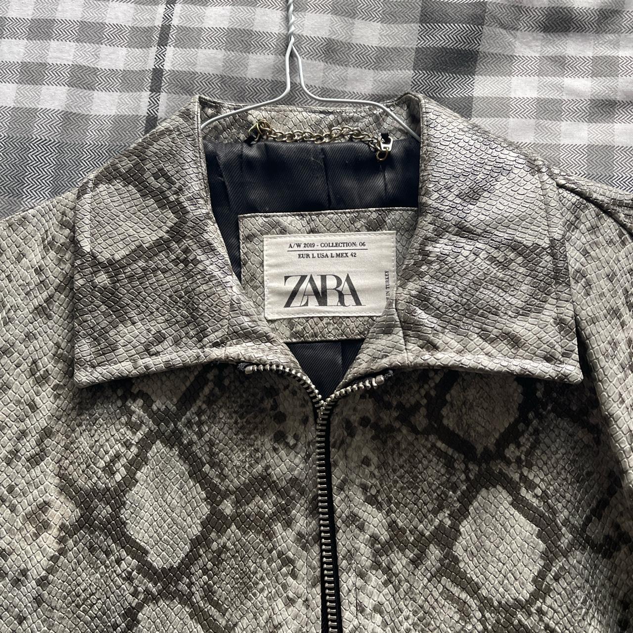 Zara mens A/W collection 2019 Large snake