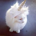 puresoulthreads's profile picture