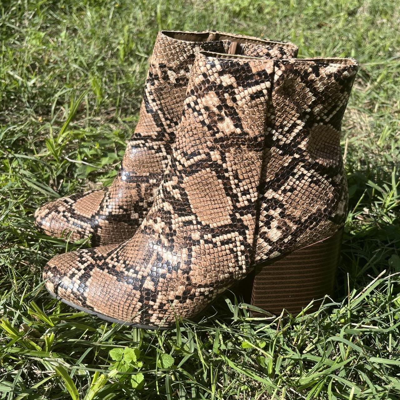 madden girl snake boots