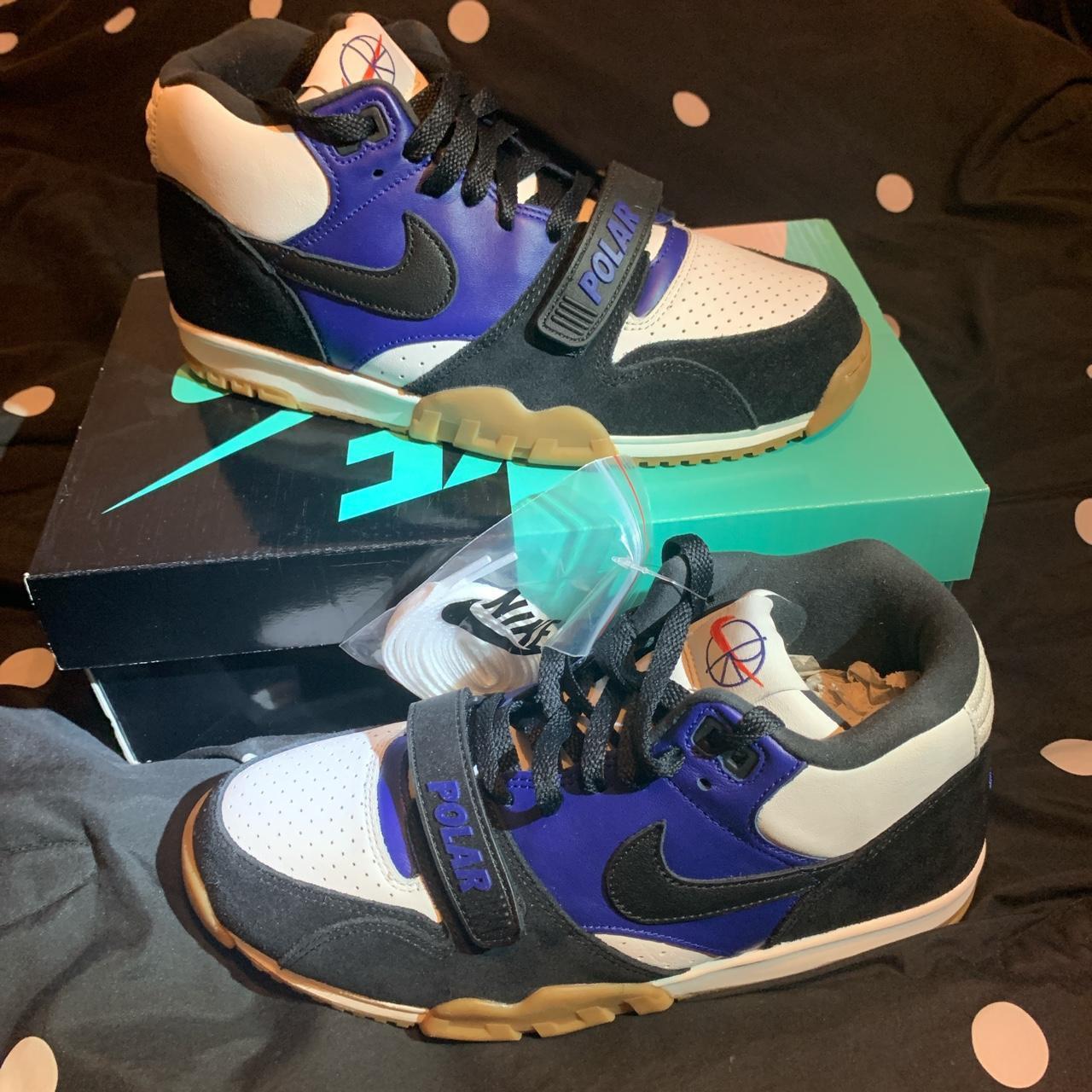 Nike SB Air Trainer I QS sz 8.5 Polar Skate Co. Depop