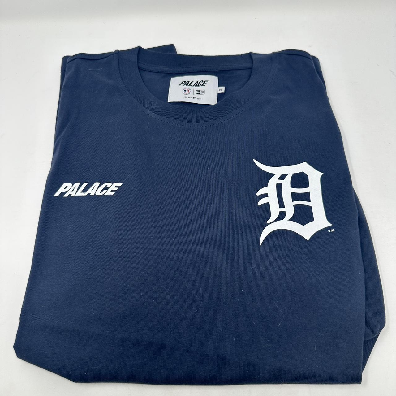 PALACE DETROIT TIGERS