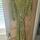 item listed by ellena103