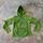 item listed by demunai