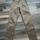 item listed by lonelyness