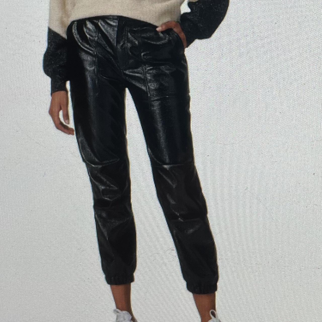 Joie best sale leather pants