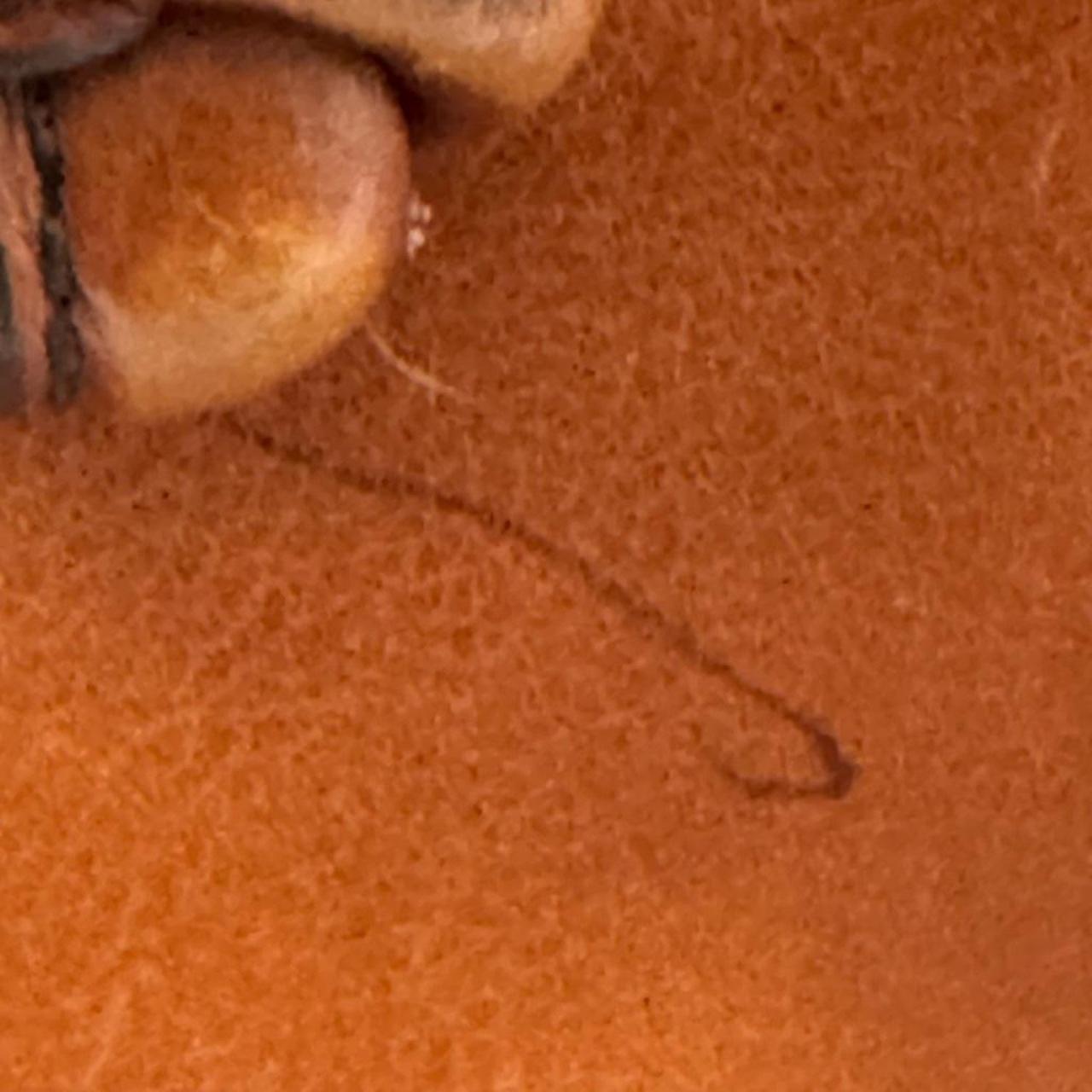 Fossil Women's Satchels - Brown – The Fossil Skyl… - image 3