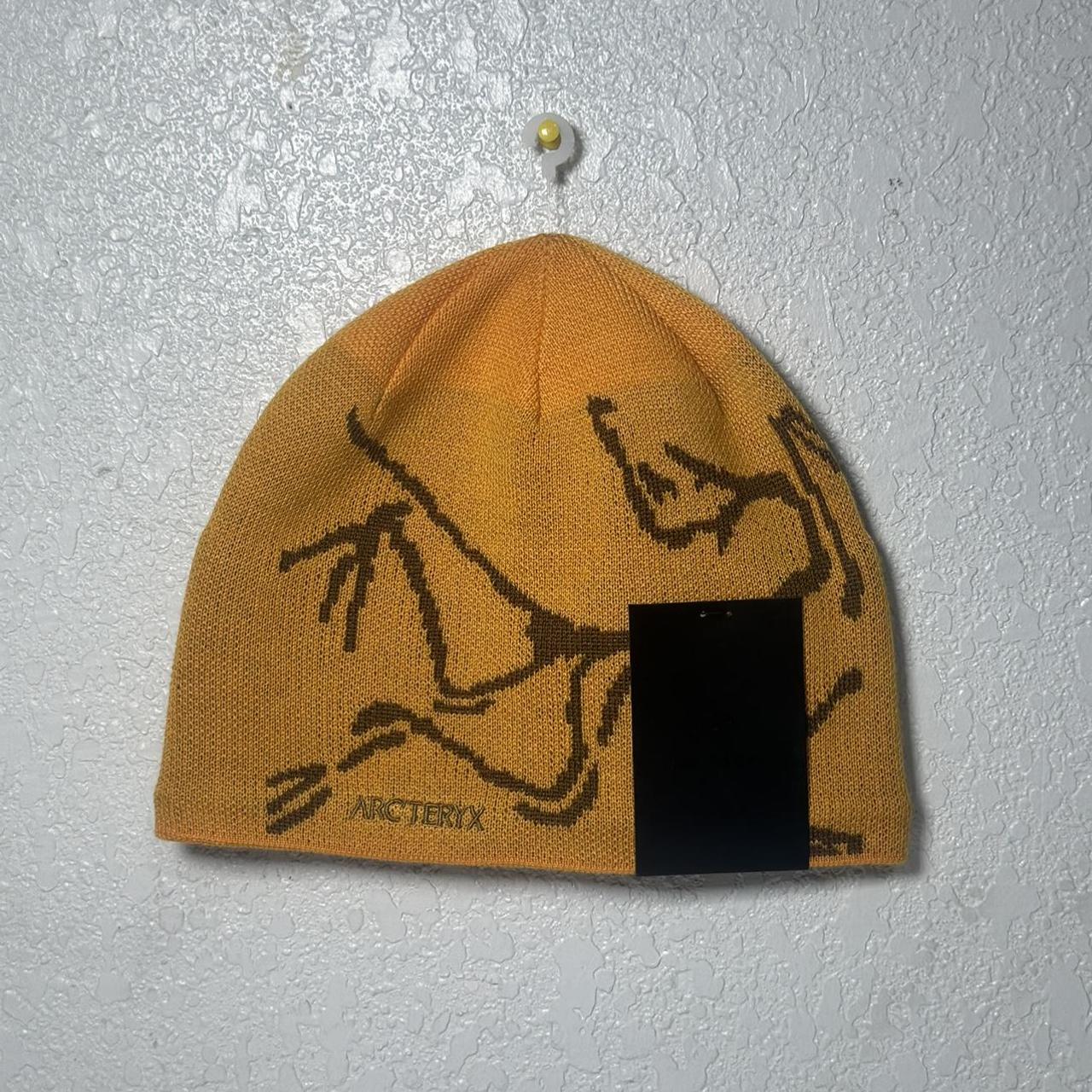 Arcteryx beanie - Depop