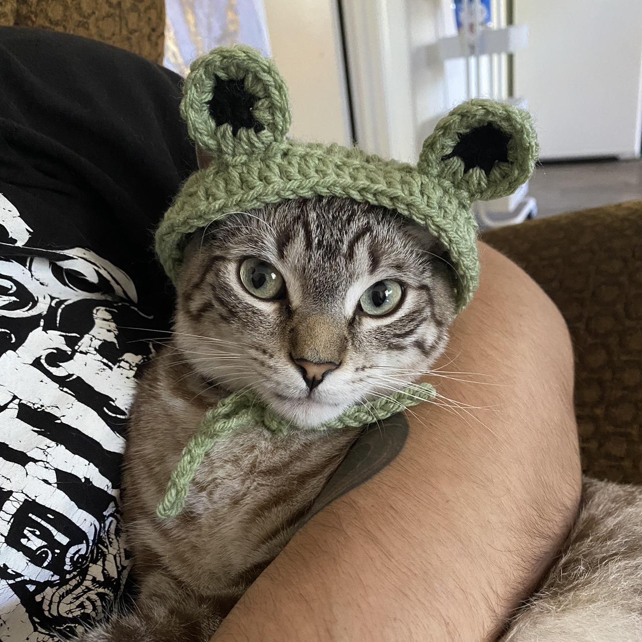 A handmade crochet frog cat hat 🐸 handmade... Depop