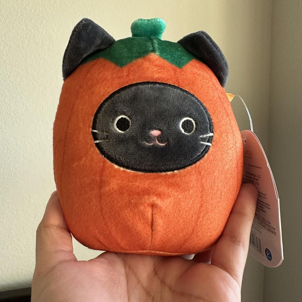 Calio the pumpkin cat squishmallow BNWT 4.5in Up... Depop