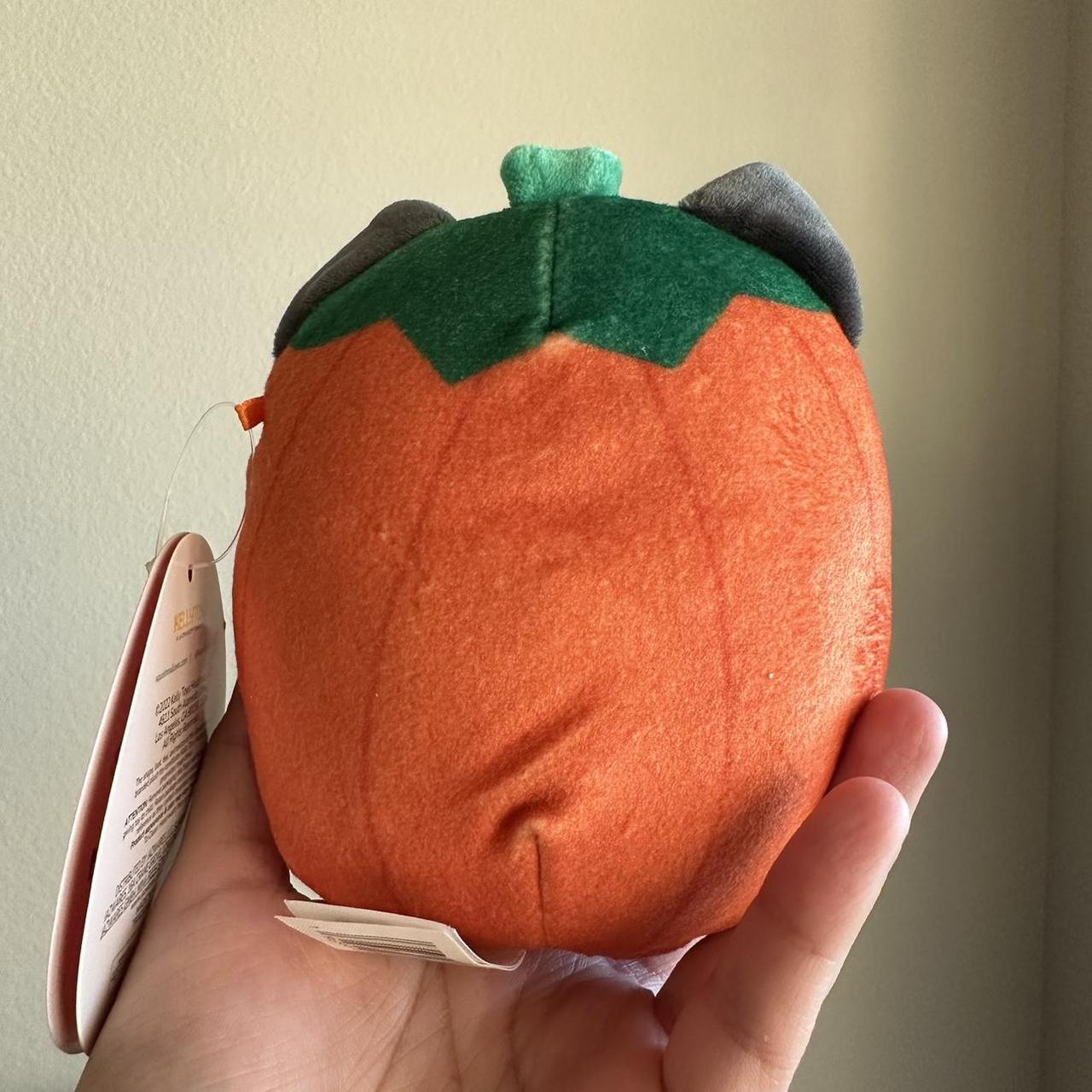 Calio the pumpkin cat squishmallow BNWT 4.5in Up... Depop