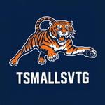 tsmallsvtg's profile picture