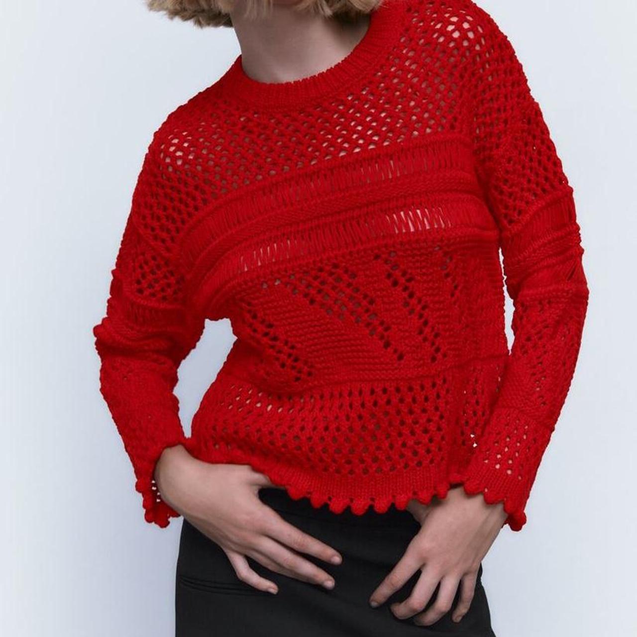 Champion sweater 2025 womens red zara