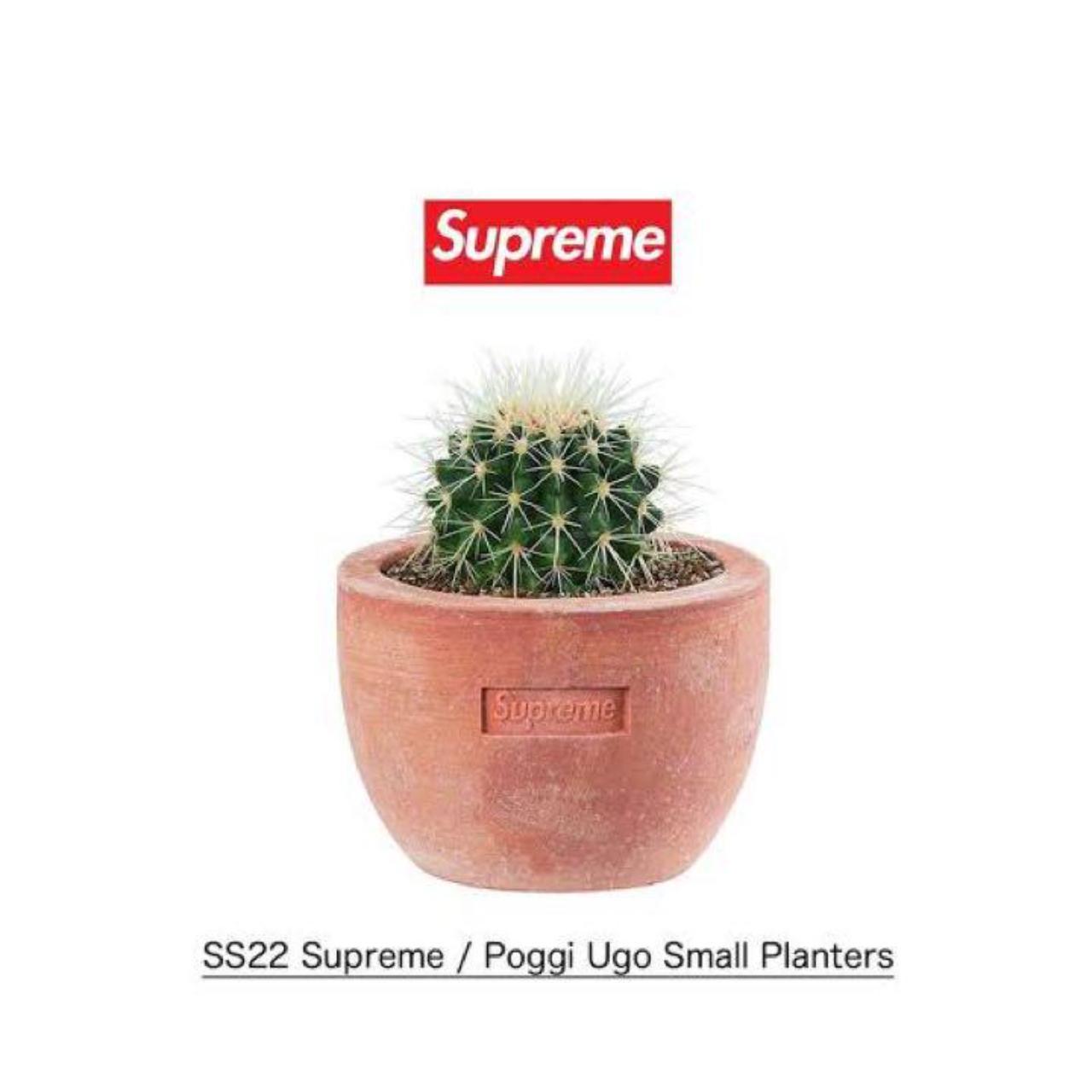 Supreme x Poggi Ugo Small Planter Terracotta (SS22)...