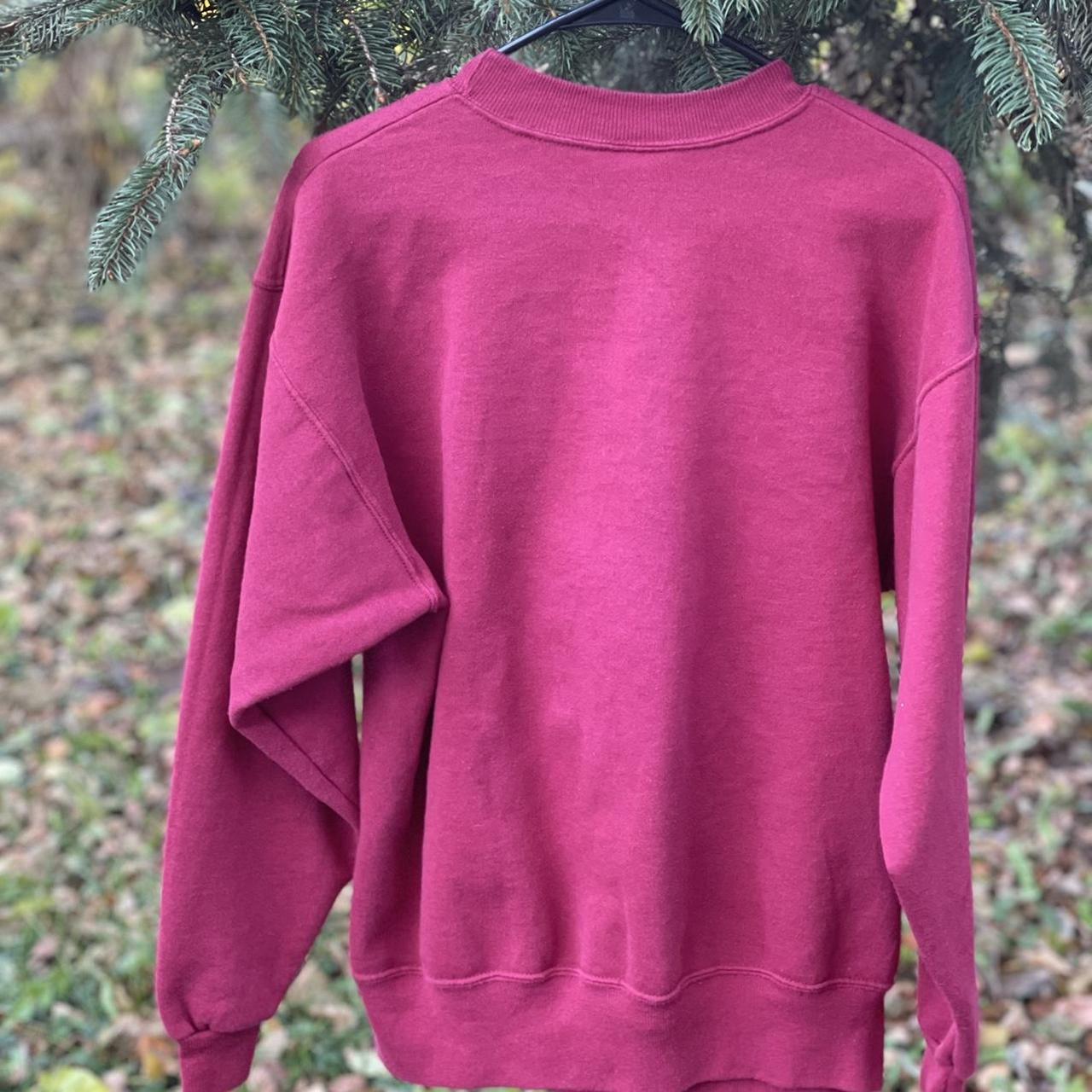 Vintage Hanes Florida State Seminoles... - Depop