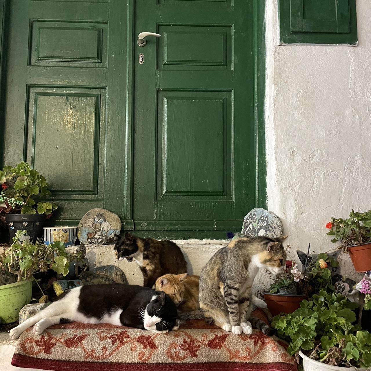 2 necklaces and international shipping Depop