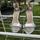 item listed by nataliep11