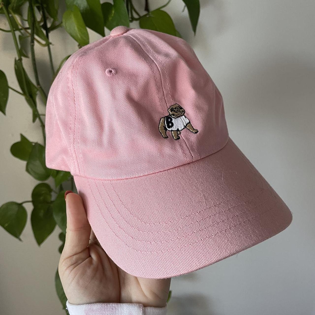 Basement Dog Baseball Hat New Perfect condition... Depop