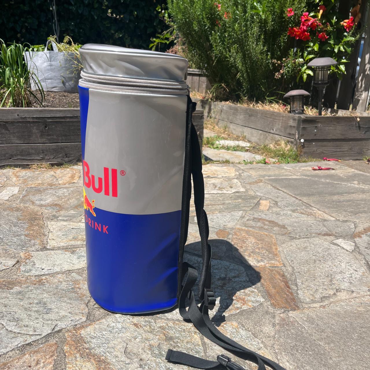 RED BULL Cooler Backpack Depop