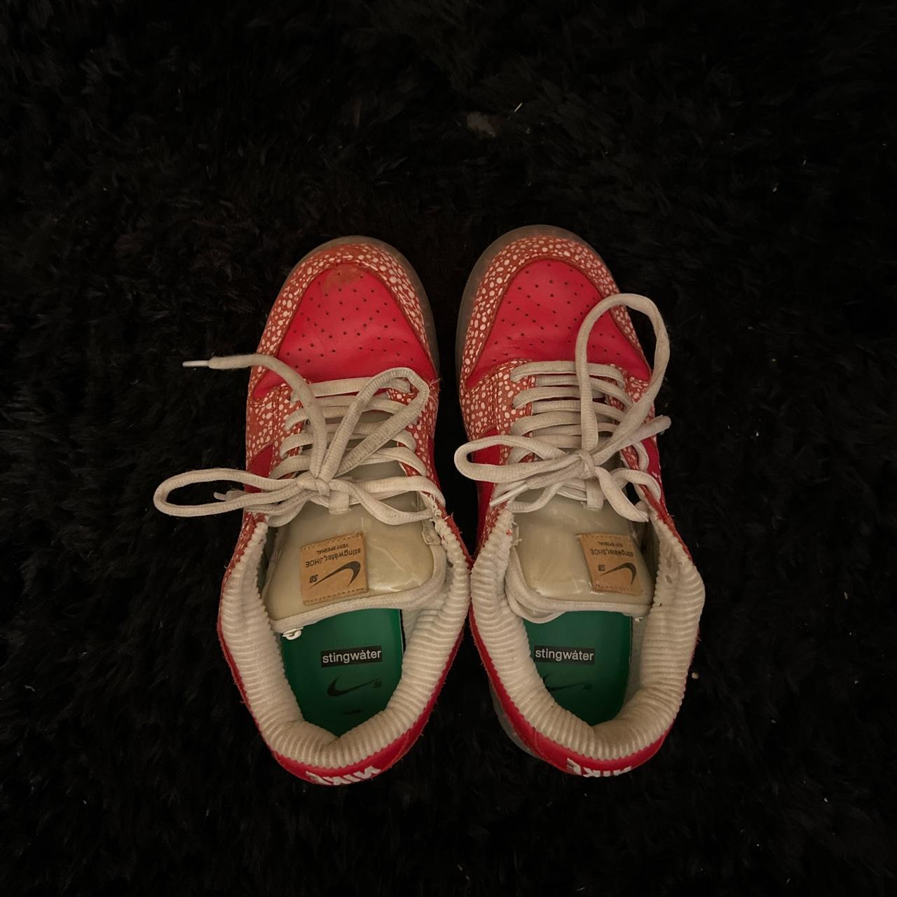 Rare Stingwater dunks One of the coolest pair of... - Depop