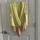 item listed by briannar13