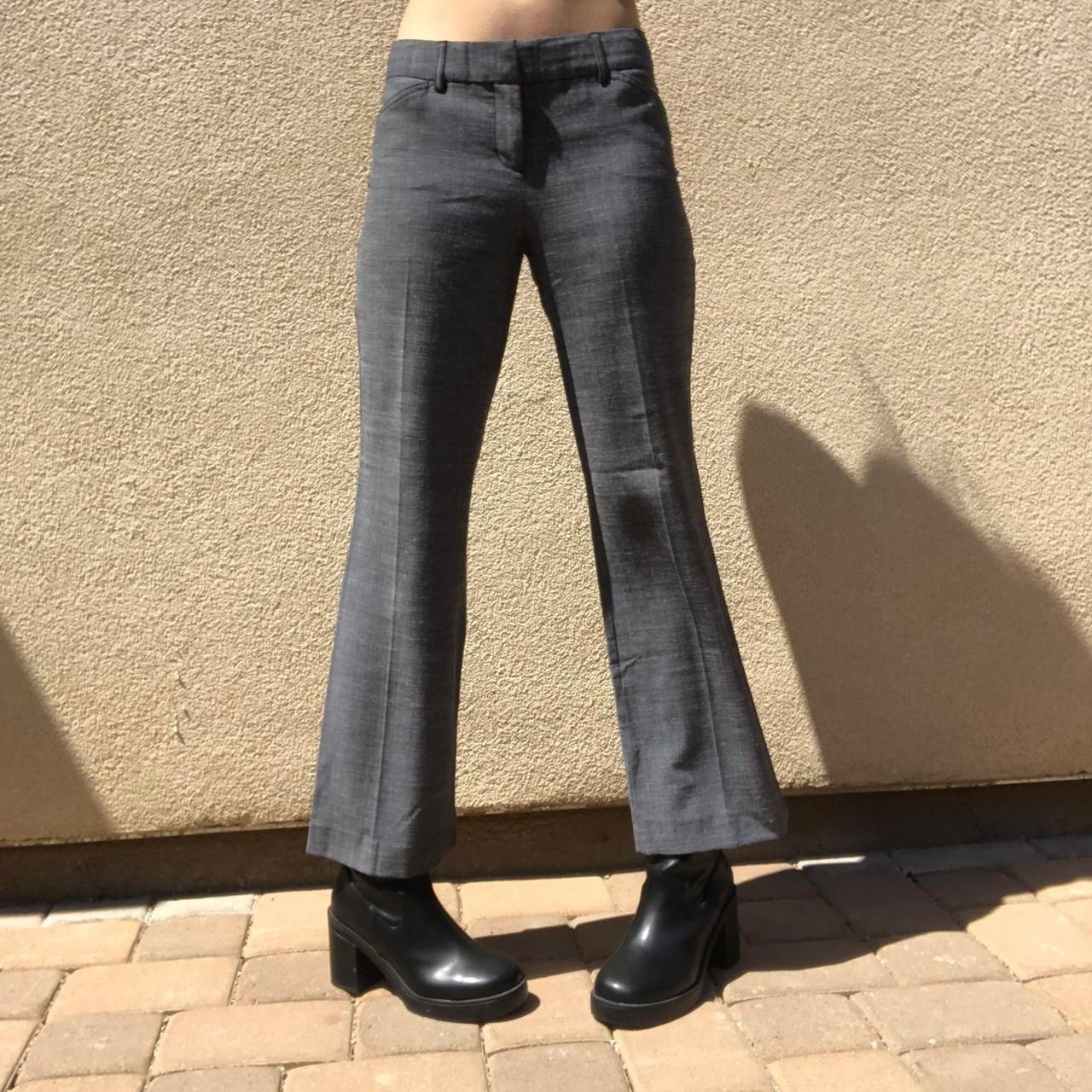 Express low best sale rise pants