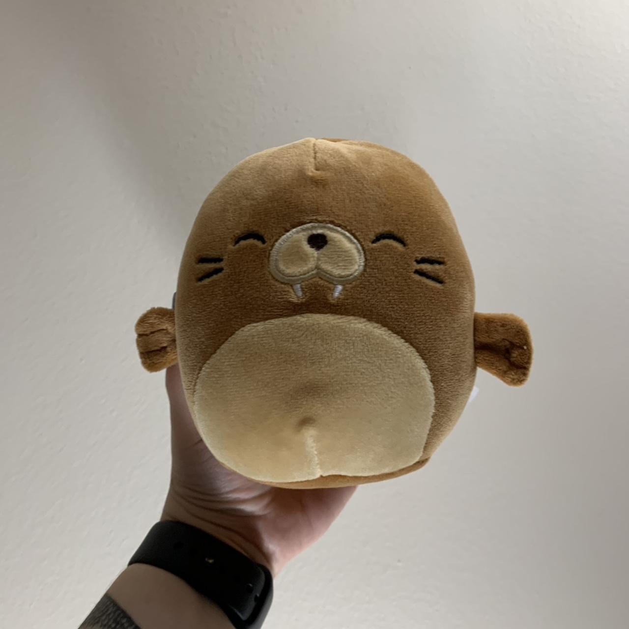 5” Bruce the seal squishmallow BNWOT squishmallows... Depop