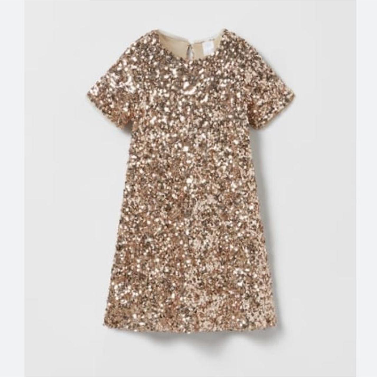 Zara Dress Girls Gold Sequin Age... Depop Hanging Plant Car Hook Over Wall Planters