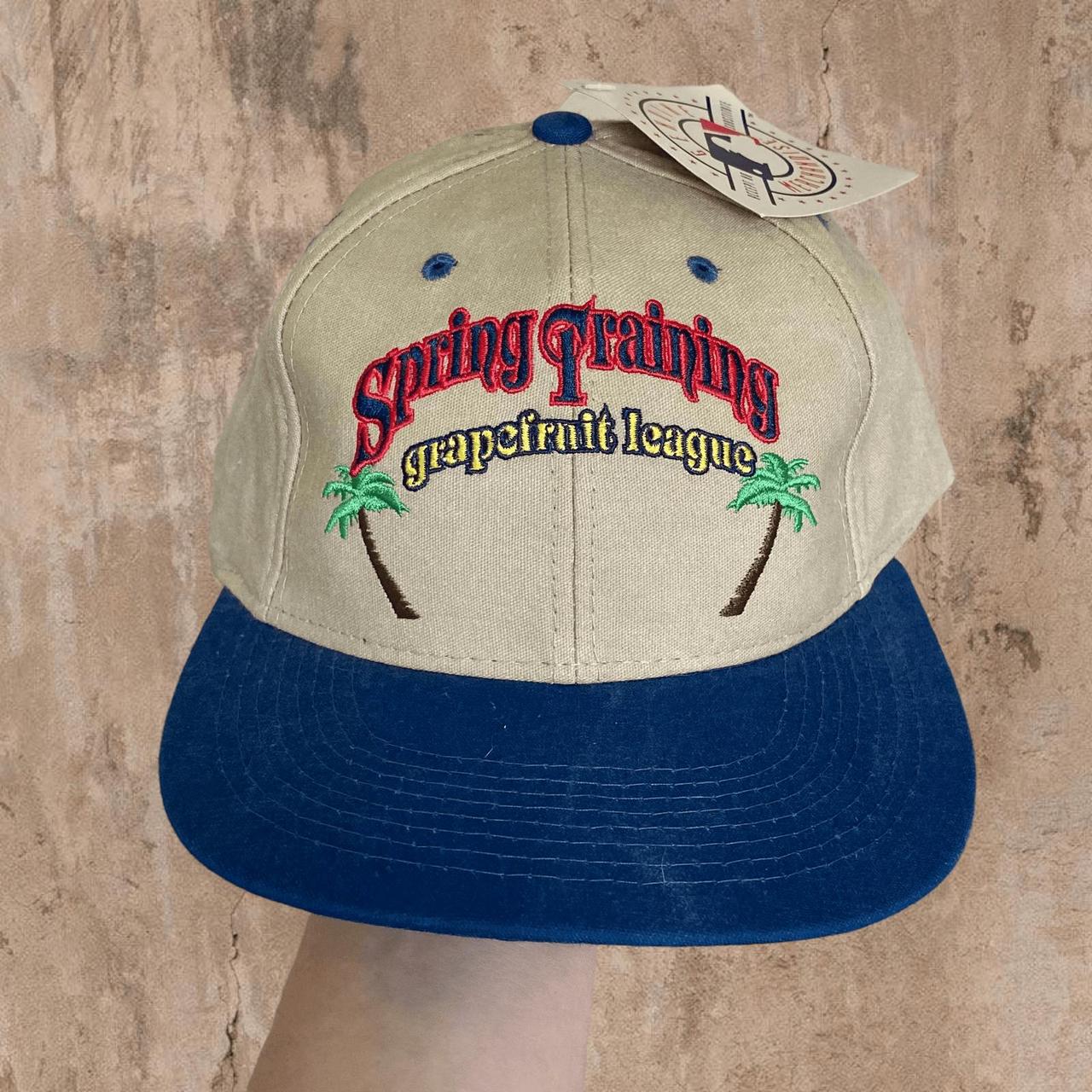 Spring Training Gambino Snapback Hat