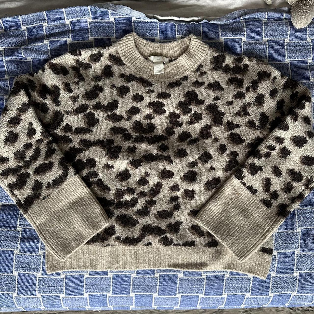 Leopard print hotsell sweater h&m