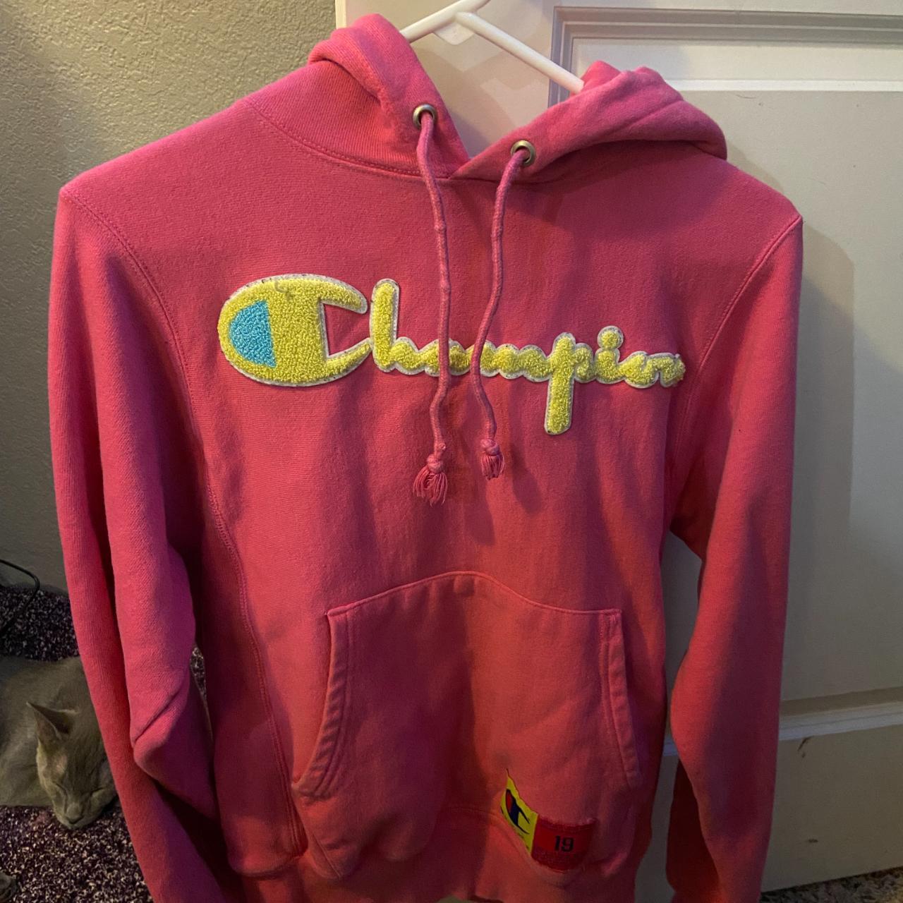 Champion best sale chenille hoodie