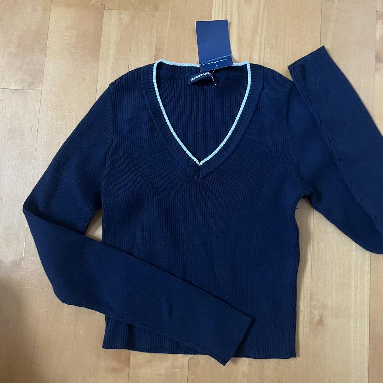 BRANDY MELVILLE Women's MILENA Blue Ribbed V-Neck Sweater Long