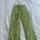 item listed by breezylindeezy