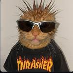 bradsthrifts's profile picture