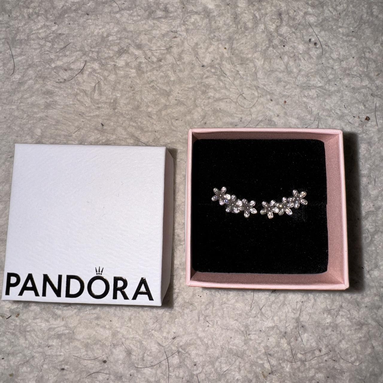 Cleaning on sale pandora earrings