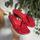 item listed by siesssss