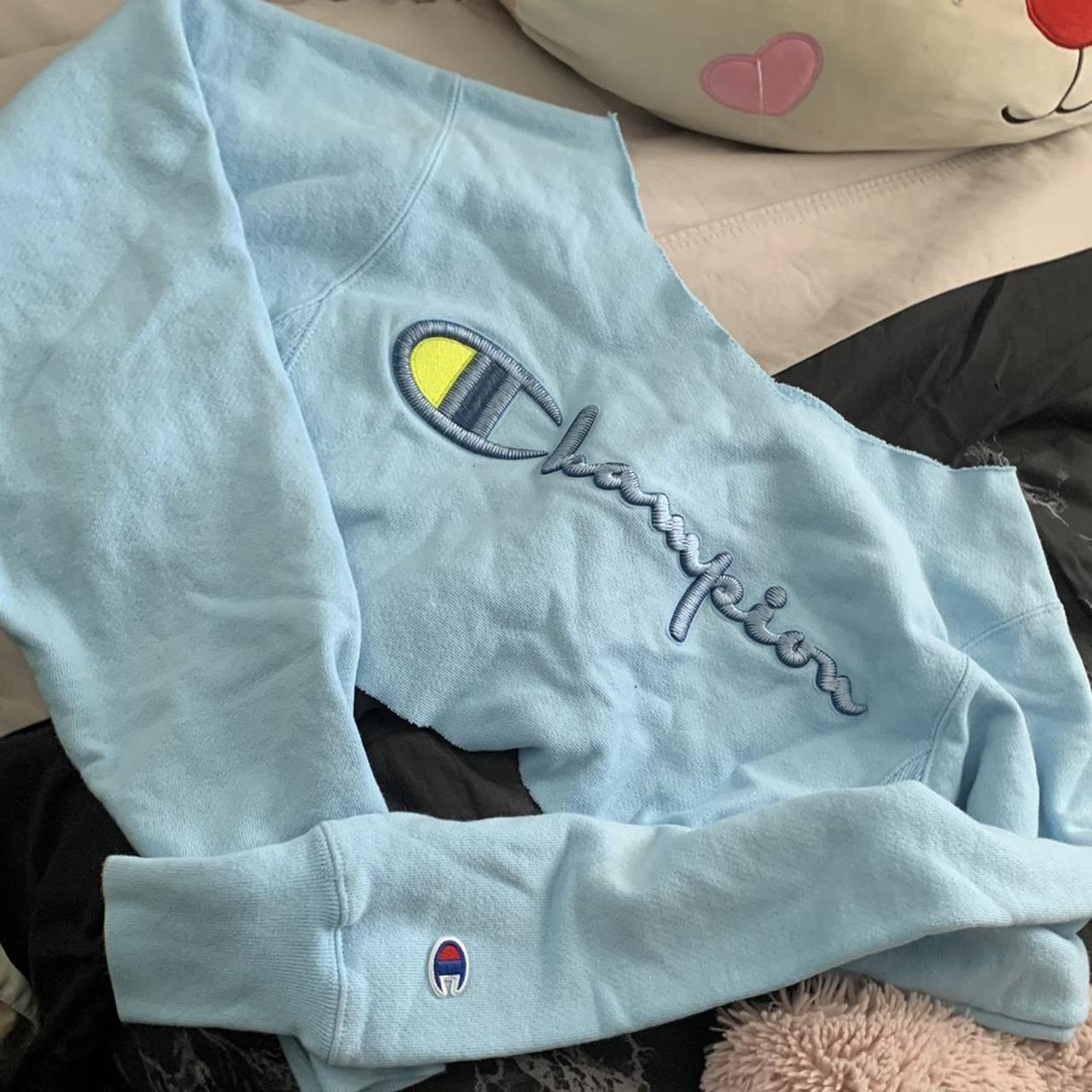 Champion sweater baby outlet blue and pink