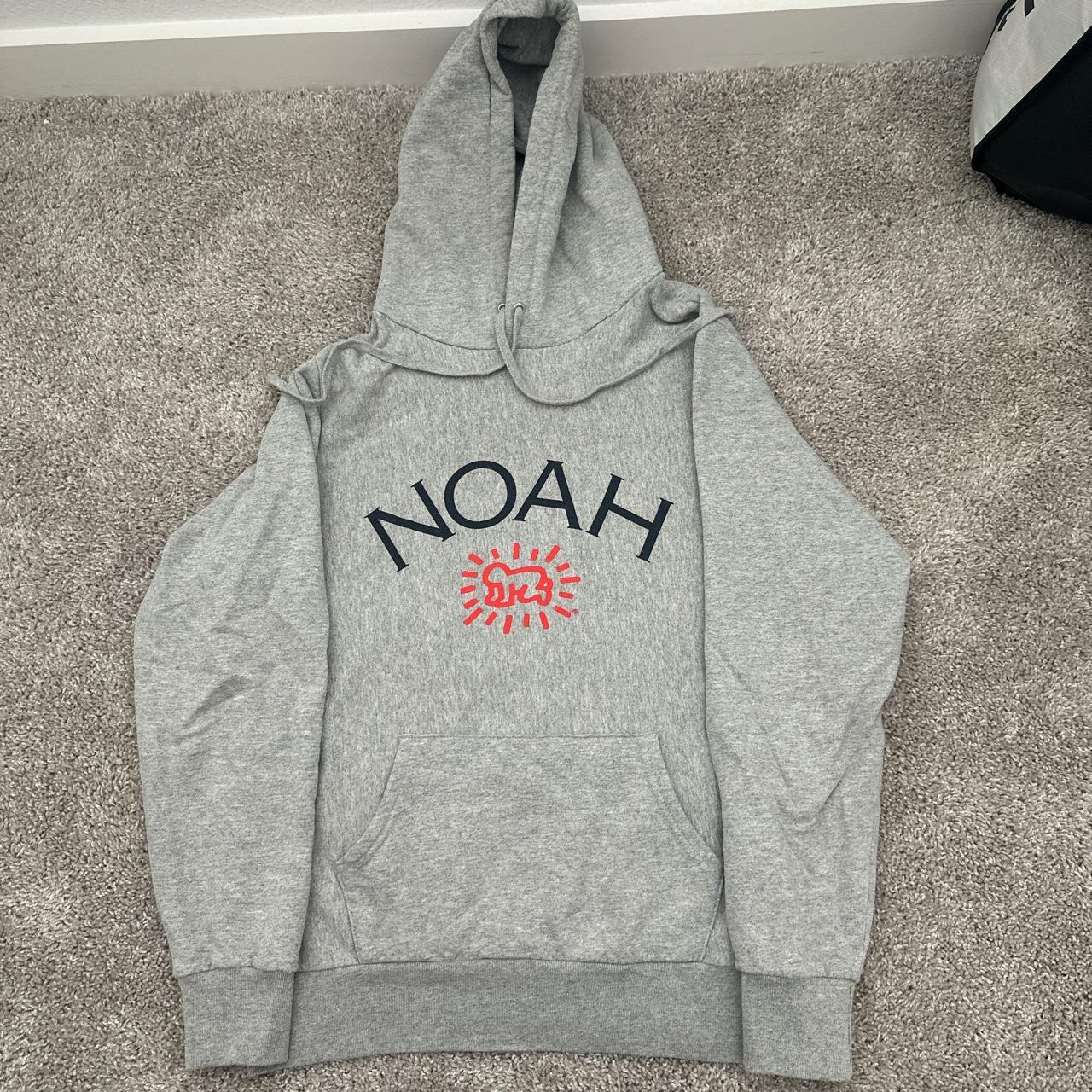 Noah Men's Hoodie | Depop