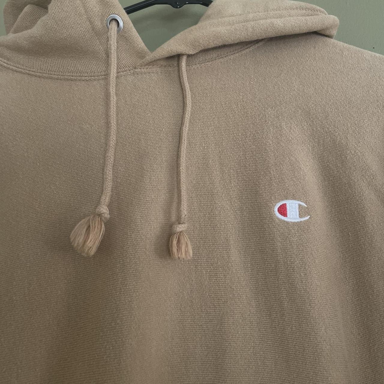 Champion Reverse Weave Hoodie Sweatshirt ❄️🎄 Depop