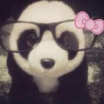 flwrmkny's profile picture