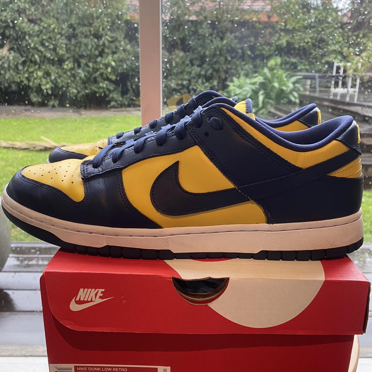 fake michigan dunks