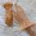 item listed by hollycampbellshop