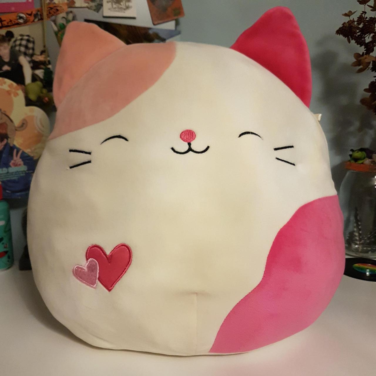 Roxy sale the cat Squishmallow 4