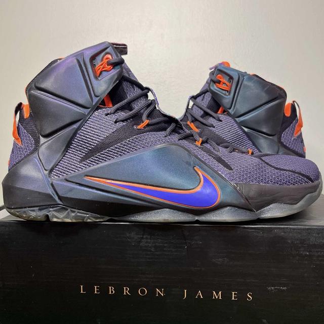 Lebron ier 12 provence fashion purple