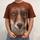 item listed by geminilogisticz
