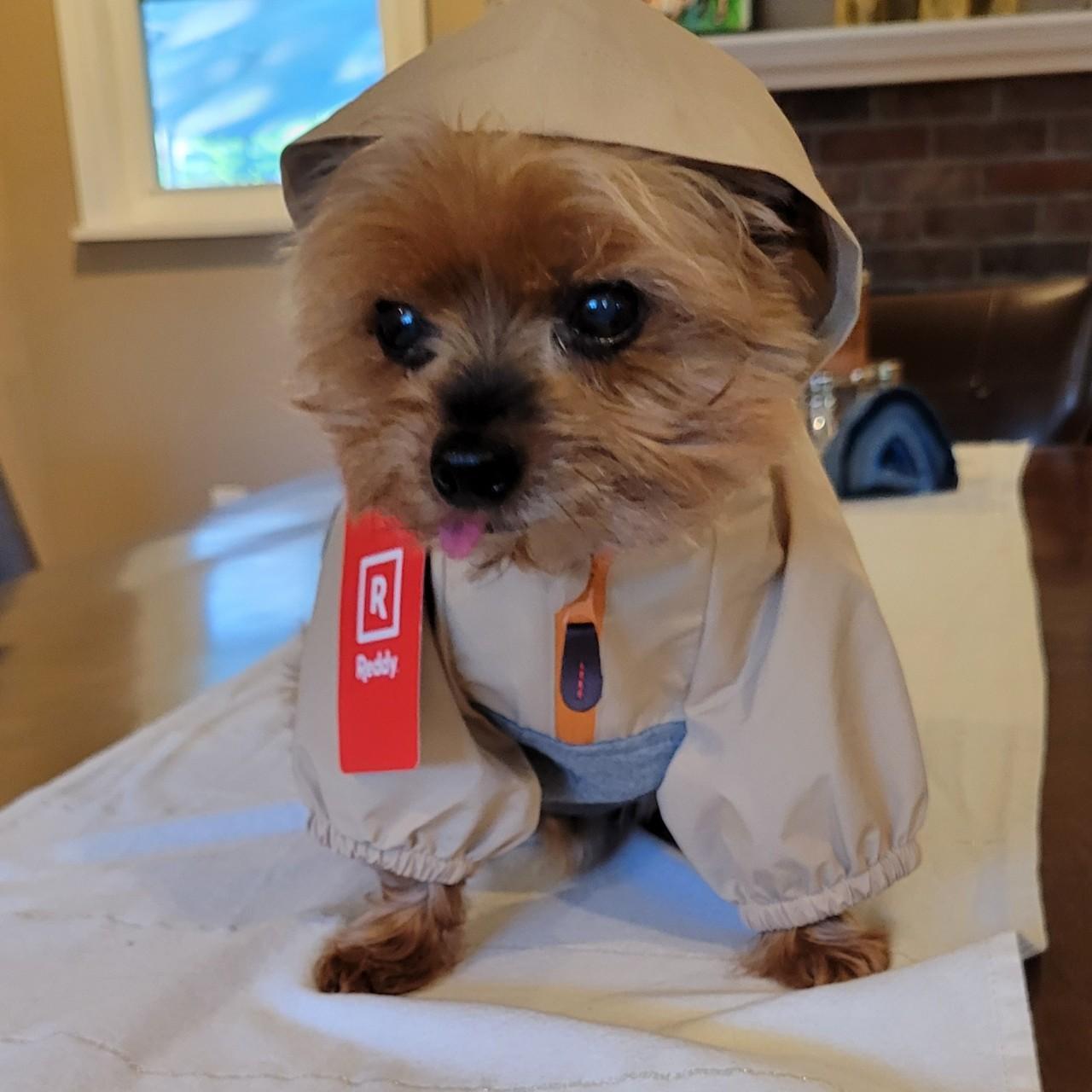 Reddy dog sale raincoat