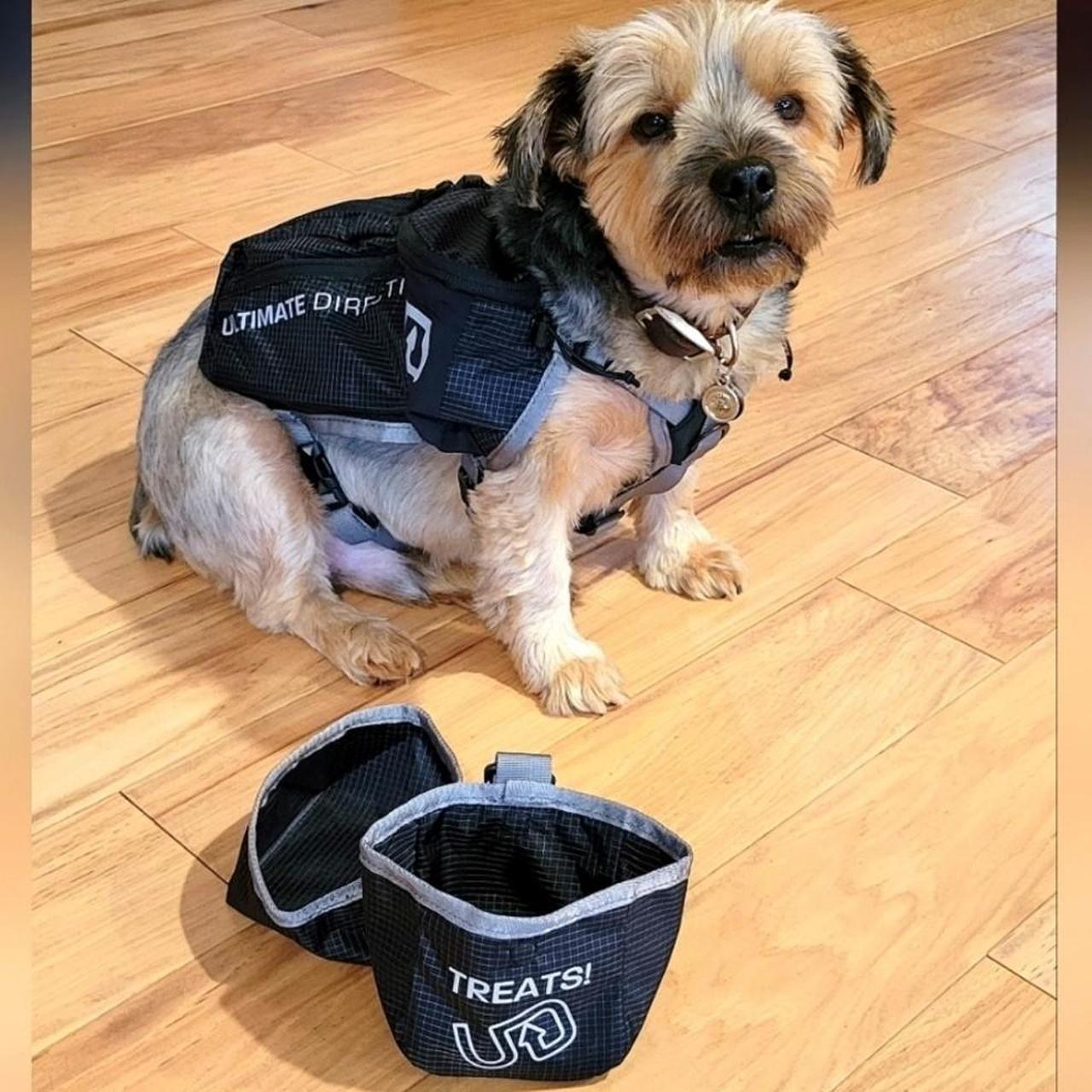 Dog hiking outlet accessories