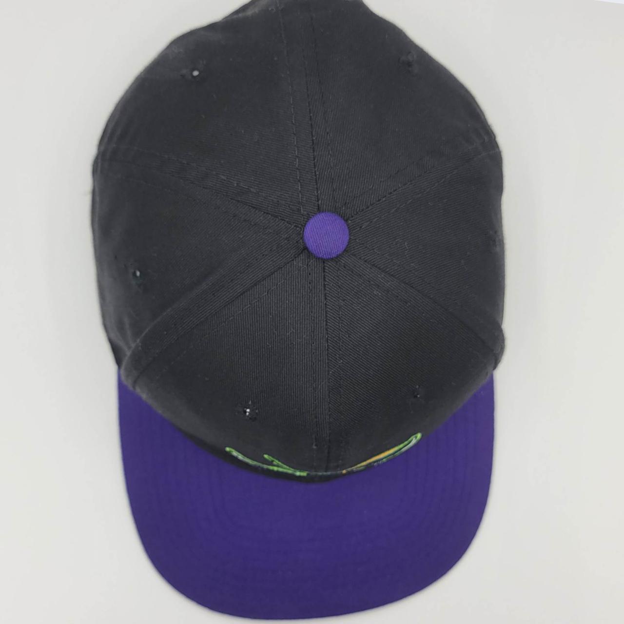 Tampa Bay Rays Vintage Hat - Depop